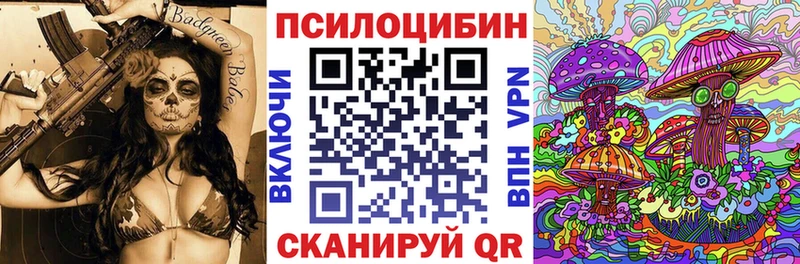 Галлюциногенные грибы Psilocybe  магазин продажи   нарко площадка какой сайт  Волжск  OMG как зайти 
